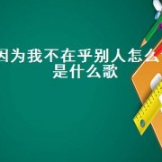 因为我不在乎别人怎么说是什么歌（告诉自己不在乎是什么歌）