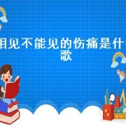 相见不能见的伤痛是什么歌