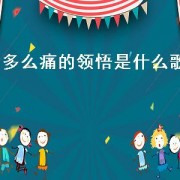 多么痛的领悟是什么歌