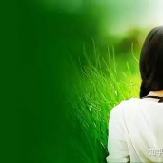《天道》“流浪者之歌”你真的听懂了吗？