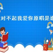 对不起我爱你原唱是谁