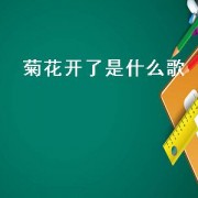 菊花开了是什么歌