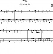 流浪的鹦鹉的歌词歌谱，流浪的鹦鹉的简谱吉他谱