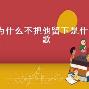 为什么不把他留下是什么歌