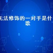 无法修饰的一对手是什么歌