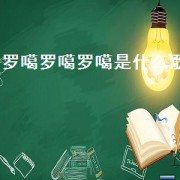 罗噶罗噶罗噶是什么歌