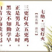 小园新种红樱树原诗词（小园新种红樱树）