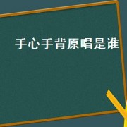 手心手背原唱是谁