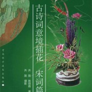 小学生如何写古诗词（小学生如何写作文视频）