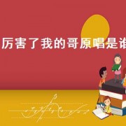 厉害了我的哥原唱是谁（厉害了我的哥歌曲全集）