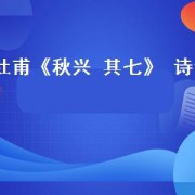 杜甫《秋兴 其七》 诗词（杜甫秋兴其七全诗）