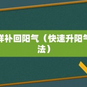 怎样补回阳气（快速升阳气办法）