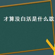才算没白活是什么歌
