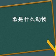歌是什么动物