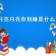 月亮月亮你别睡是什么歌