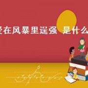 爱在风暴里逞强 是什么歌（爱藏在心里是什么歌）