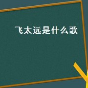 飞太远是什么歌