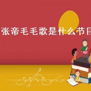 张帝毛毛歌是什么节目（张帝唱毛毛歌的演唱会）