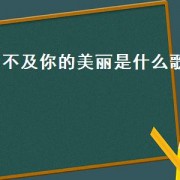 不及你的美丽是什么歌（不及你美丽）