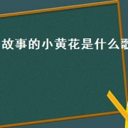 故事的小黄花是什么歌（小黄花是歌名吗）