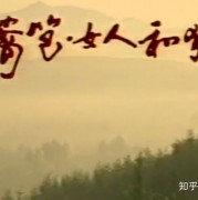电视剧《篱笆女人与狗》经典女人命运三部曲之一