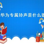 华为专属 *** 是什么歌（华为mate40 rs保时捷专属 *** ）