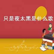 只是夜太黑是什么歌