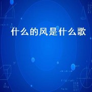 什么的风是什么歌
