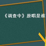 《调查中》原唱是谁（调查中原唱歌词）