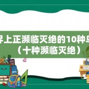 世界上正濒临灭绝的10种鸟类（十种濒临灭绝）