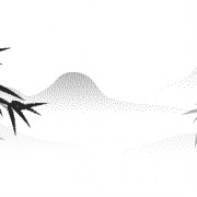 荔枝诗词杨贵妃（杨贵妃吃荔枝的诗词）