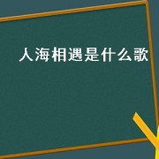 人海相遇是什么歌（人海相遇是什么歌）
