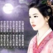 优美的诗词全篇