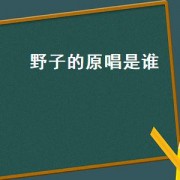 野子的原唱是谁