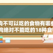 狗狗不可以吃的食物有哪些（狗狗绝对不能吃的18种食物）