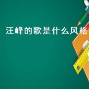汪峰的歌是什么风格
