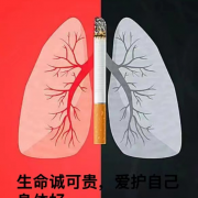 盘点十大奶茶杯雾化哪个厂好!2022已更新(今日/发现)