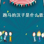  *** 的汉子是什么歌