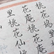 宋代诗词的发展历程（宋代诗词的发展过程）