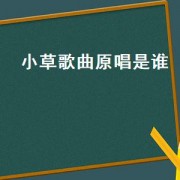 小草歌曲原唱是谁