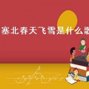 塞北春天飞雪是什么歌（大雪漫天飞是什么歌）