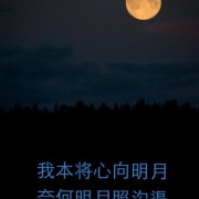 戴望舒的诗词（戴望舒的诗词雨巷朗诵）