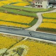 140字的五言诗词（140字的诗词）