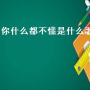 你什么都不懂是什么歌