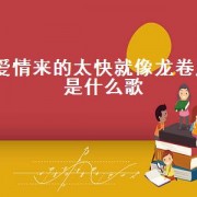 爱情来的太快就像龙卷风是什么歌（爱情走得太快就像龙卷风完整版）