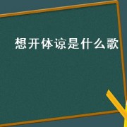 想开体谅是什么歌（歌词中有体谅）