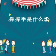 挥挥手是什么歌