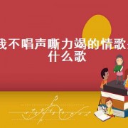我不唱声嘶力竭的情歌是什么歌
