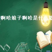 啊哈娘子啊哈是什么歌（娘子啊哈歌词完整版）