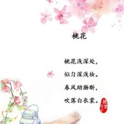 宋词木兰花译文和注释